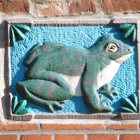 Apartments Im Froschhaus Mit Fruehstueckskuechen Фридрихщат Стая снимка